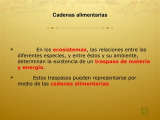 Cadenas alimentarias En los  ecosistemas , las relaciones entre las diferentes especies, y entre éstos y su ambiente, determinan la existencia de un  traspaso de materia y energía .  Estos traspasos pueden representarse por medio de las  cadenas alimentarias . 
