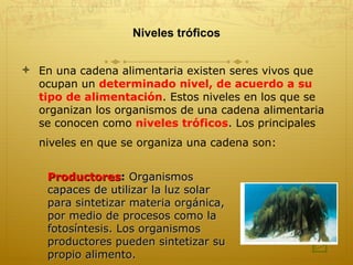 Niveles tróficos En una cadena alimentaria existen seres vivos que ocupan un  determinado nivel, de acuerdo a su tipo de alimentación . Estos niveles en los que se organizan los organismos de una cadena alimentaria se conocen como  niveles tróficos . Los principales niveles en que se organiza una cadena son:   Productores :  Organismos capaces de utilizar la luz solar para sintetizar materia orgánica, por medio de procesos como la fotosíntesis. Los organismos productores pueden sintetizar su propio alimento.   