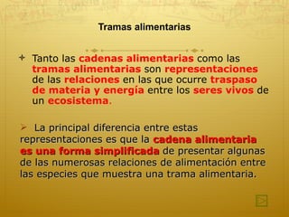Tramas alimentarias Tanto las  cadenas alimentarias   como las  tramas alimentarias   son  representaciones   de las  relaciones   en las que ocurre  traspaso de materia y energía   entre los  seres vivos   de un  ecosistema .   La principal diferencia entre estas  representaciones es que la  cadena alimentaria es una forma simplificada  de presentar algunas de las numerosas relaciones de alimentación entre las especies que muestra una trama alimentaria. 