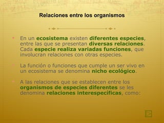 Relaciones entre los organismos En un  ecosistema  existen  diferentes especies , entre las que se presentan  diversas relaciones . Cada  especie realiza variadas funciones , que involucran relaciones con otras especies. La función o funciones que cumple un ser vivo en un ecosistema se denomina  nicho ecológico . A las relaciones que se establecen entre los  organismos de especies diferentes  se les denomina  relaciones interespecíficas , como:  