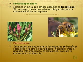 Protocooperación :  Interacción en la que ambas especies se  benefician . Sin embargo, no es una relación obligatoria para la sobrevivencia de las especies. Parasitismo : Interacción en la que una de las especies se beneficia (parásito) y la otra es perjudicada (huésped). Para el parásito esta interacción es obligatoria, pues de lo contrario no se alimenta. 