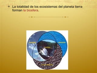 La totalidad de los ecosistemas del planeta tierra forman  la biosfera .  