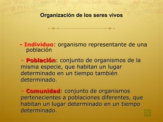 Organización de los seres vivos - Individuo : organismo representante de una población Comunidad : conjunto de organismos pertenecientes a poblaciones diferentes, que habitan un lugar determinado en un tiempo determinado.  Población : conjunto de organismos de la misma especie, que habitan un lugar determinado en un tiempo también determinado. 