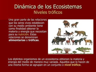 Dinámica de los Ecosistemas Niveles tróficos Una gran parte de las relaciones que los seres vivos establecen con su medio ambiente tiene como finalidad obtener la materia y energía que necesitan para su  nutrición . Estas relaciones se denominan  alimentarias  o  tróficas .  Los distintos organismos de un ecosistema obtienen la materia y energía del medio de manera muy variada. Aquellos que lo hacen de una misma forma se agrupan en un conjunto o  nivel trófico .  