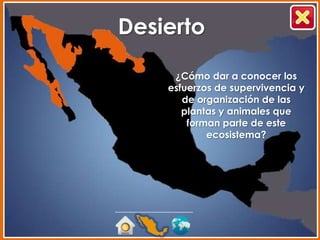 Desierto

     ¿Cómo dar a conocer los
    esfuerzos de supervivencia y
       de organización de las
       plantas y animales que
        forman parte de este
            ecosistema?
 