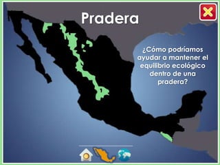 Pradera
        ¿Cómo podríamos
      ayudar a mantener el
       equilibrio ecológico
          dentro de una
             pradera?
 