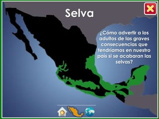 Selva
         ¿Cómo advertir a los
         adultos de las graves
          consecuencias que
        tendríamos en nuestro
        país si se acabaran las
                 selvas?
 