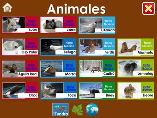 Animales
 Ficha          Ficha     Ficha
Técnica        Técnica   Técnica




 Ficha          Ficha     Ficha     Ficha
Técnica        Técnica   Técnica   Técnica




 Ficha          Ficha     Ficha     Ficha
Técnica        Técnica   Técnica   Técnica




 Ficha          Ficha     Ficha     Ficha
Técnica        Técnica   Técnica   Técnica




           Tundra
 