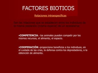 FACTORES BIOTICOS
                  Relaciones intraespecíficas

Son las relaciones que se establecen entre los individuos de
la misma población (misma especie) de un ecosistema:


    •COMPETENCIA.- los animales pueden competir por los
    mismos recursos, el alimento, el espacio.


    •COOPERACIÓN.-proporciona beneficios a los individuos, en
    el cuidado de las crias, la defensa contra los depredadores, o la
    obtención de alimento.
 
