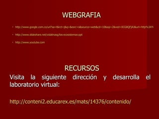 WEBGRAFIA
 •   http://www.google.com.co/url?sa=t&rct=j&q=&esrc=s&source=web&cd=10&sqi=2&ved=0CG8QFjAJ&url=http%3A%2F%

 •   http://www.slideshare.net/vidalinasg/los-ecosistemas-ppt

 •   http://www.youtube.com




                                             RECURSOS
Visita la siguiente dirección y desarrolla el
laboratorio virtual:

http://conteni2.educarex.es/mats/14376/contenido/
 