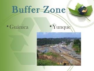 Buffer Zone
•Guánica   •Yunque
 