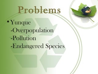 Problems
•Yunque
 -Overpopulation
 -Pollution
 -Endangered Species
 