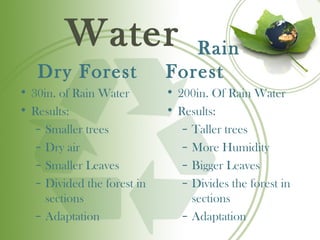 Water                  Rain
   Dry Forest                Forest
• 30in. of Rain Water        • 200in. Of Rain Water
• Results:                   • Results:
   – Smaller trees              – Taller trees
   – Dry air                    – More Humidity
   – Smaller Leaves             – Bigger Leaves
   – Divided the forest in      – Divides the forest in
     sections                     sections
   – Adaptation                 – Adaptation
 