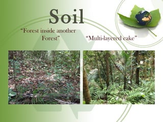 Soil
“Forest inside another
         Forest”         “Multi-layered cake”
 