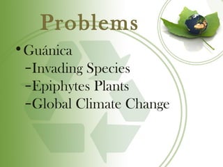 Problems
•Guánica
 –Invading Species
 –Epiphytes Plants
 –Global Climate Change
 