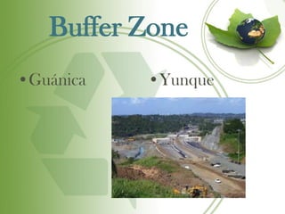 Buffer Zone
•Guánica   •Yunque
 
