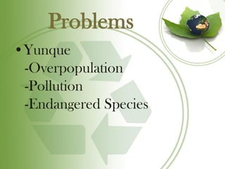 Problems
•Yunque
 -Overpopulation
 -Pollution
 -Endangered Species
 