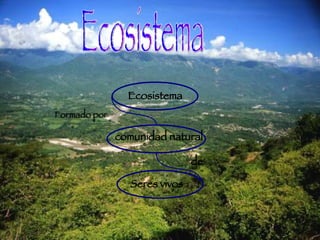 Ecosistema Ecosistema comunidad natural   Formado por Seres vivos de 