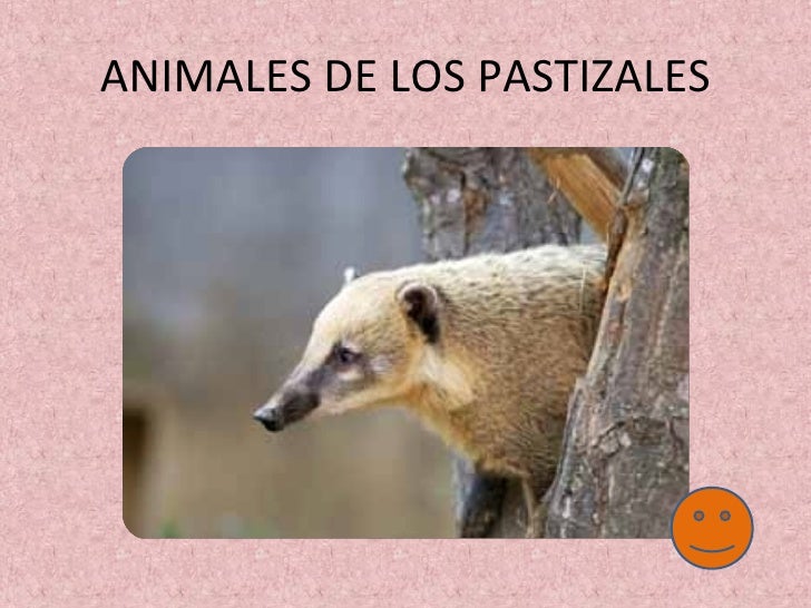 Ecosistemas
