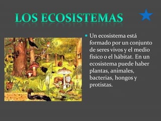  Un ecosistema está
 formado por un conjunto
 de seres vivos y el medio
 físico o el hábitat. En un
 ecosistema puede haber
 plantas, animales,
 bacterias, hongos y
 protistas.
 