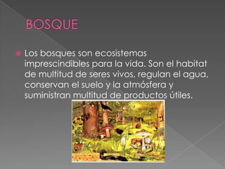   Los bosques son ecosistemas
    imprescindibles para la vida. Son el habitat
    de multitud de seres vivos, regulan el agua,
    conservan el suelo y la atmósfera y
    suministran multitud de productos útiles.
 