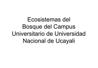 Ecosistemas del
    Bosque del Campus
Universitario de Universidad
    Nacional de Ucayali
 