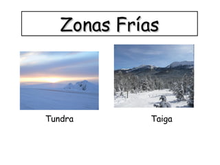 Zonas FríasZonas Frías
TaigaTundra
 