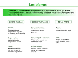 Los biomas
Un bioma es un ecosistema muy grande que se encuentra en zonas que tienen
condiciones similares de luz, temperatura y humedad, y que tiene una vegetación y
una fauna típicas.
ZONAS CÁLIDAS
Desierto.
ZONAS TEMPLADAS
Bosque mediterráneo.
ZONAS FRÍAS
Tundra.
Bosque tropical.
Sabana.
Bosque templado o caducifolio.
Pradera templada.
Taiga.
Escasez de agua y
temperaturas muy altas
de día y muy bajas de noche.
Mucha humedad y
temperaturas cálidas.
Alterna una estación
muy seca con una de
lluvias a lo largo del año.
Viven plantas de hoja
perenne.
Viven plantas que pierden
las hojas en otoño.
Grandes llanuras cubiertas
de hierba y muy pocos
árboles.
Temperaturas muy bajas.
Bosque de zonas frías
con árboles con flores y
piñas.
 