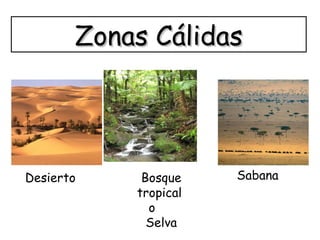 Zonas CálidasZonas Cálidas
Desierto Bosque
tropical
o
Selva
Sabana
 
