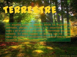TERRESTRE
Son aquellas zonas o regiones donde los organismos
(animales, plantas, etc.) viven y se desarrollan en el
suelo y en el aire que circunda un determinado espacio
terrestre. En estos lugares se supone que los seres
vivos que habitan el ecosistema encuentran todo lo que
necesitan para poder subsistir.
 