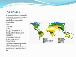 LOS BIOMAS.
Se denomina bioma a los grandes
ecosistemas que ocupan una gran
zona geográfica con unas
determinadas condiciones
ambientales.
Tipos:
TUNDRA
TAIGA
BOSQUE CADUCIFOLIO
BOSQUE MEDITERRANEO
DESIERTO
ESTEPAS Y SABANAS
BOSQUE TROPICAL Y
ECUATORIAL
Los biomas marinos no guardan
relación estrecha con el
clima, sino, básicamente, con la
profundidad, y por tanto, con la
luz.
 