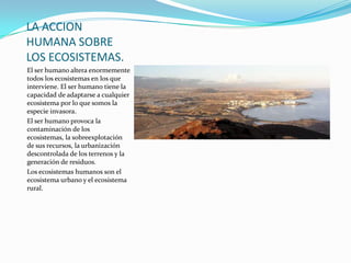 LA ACCION
HUMANA SOBRE
LOS ECOSISTEMAS.
El ser humano altera enormemente
todos los ecosistemas en los que
interviene. El ser humano tiene la
capacidad de adaptarse a cualquier
ecosistema por lo que somos la
especie invasora.
El ser humano provoca la
contaminación de los
ecosistemas, la sobreexplotación
de sus recursos, la urbanización
descontrolada de los terrenos y la
generación de residuos.
Los ecosistemas humanos son el
ecosistema urbano y el ecosistema
rural.
 