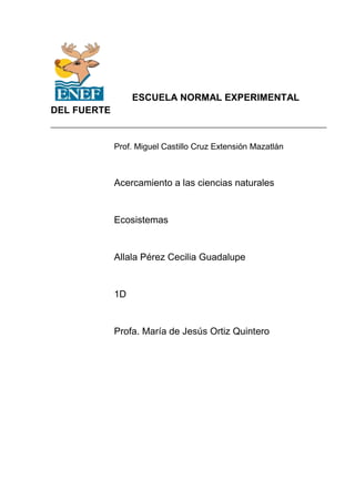 ESCUELA NORMAL EXPERIMENTAL
DEL FUERTE
Prof. Miguel Castillo Cruz Extensión Mazatlán
Acercamiento a las ciencias naturales
Ecosistemas
Allala Pérez Cecilia Guadalupe
1D
Profa. María de Jesús Ortiz Quintero
 