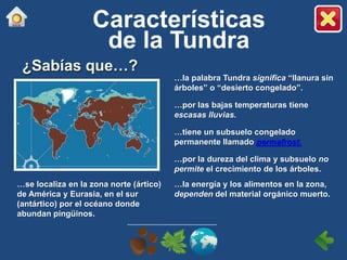 …la palabra Tundra significa “llanura sin
árboles” o “desierto congelado”.
…por las bajas temperaturas tiene
escasas lluvias.
…tiene un subsuelo congelado
permanente llamado permafrost.
…por la dureza del clima y subsuelo no
permite el crecimiento de los árboles.
…se localiza en la zona norte (ártico)
de América y Eurasia, en el sur
(antártico) por el océano donde
abundan pingüinos.
…la energía y los alimentos en la zona,
dependen del material orgánico muerto.
¿Sabías que…?
Características
de la Tundra
 