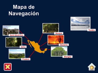 Mapa de
Navegación
Semi-desértico
Selva
Pradera
Bosque
Desierto
Manglar
Tundra
 
