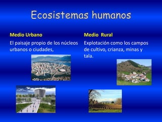 Medio Urbano
El paisaje propio de los núcleos
urbanos o ciudades,
Medio Rural
Explotación como los campos
de cultivo, crianza, minas y
tala.
 