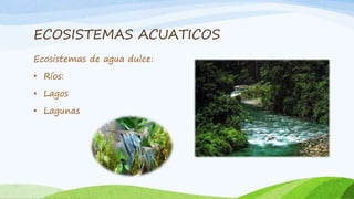 ECOSISTEMAS ACUATICOS
Ecosistemas de agua dulce:
• Ríos:
• Lagos
• Lagunas
 