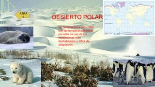 ATRA
S

DESIERTO POLAR
Su característica primordial
son las temperaturas bajas
por esto es uno de los
ecosistemas mas
deshabitados y difícil de
adaptación.

 