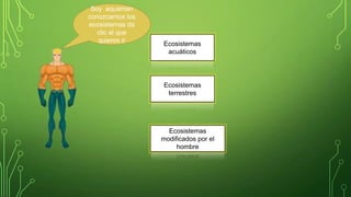 Soy aquaman
conozcamos los
ecosistemas da
clic al que
quieres ir

Ecosistemas
acuáticos

Ecosistemas
terrestres

Ecosistemas
modificados por el
hombre

 