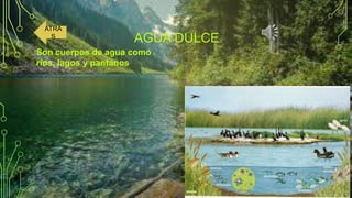 ATRA
S

AGUA DULCE

Son cuerpos de agua como
ríos, lagos y pantanos

 