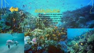 ATRA
S

AGUA SALADA
El ecosistema de agua salada
es el ecosistema marino y es
el mas grande que existe en la
tierra ya que ocupa dos tercios
de la superficie terrestre.

 