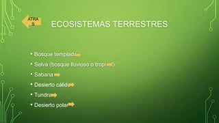 ATRA
S

ECOSISTEMAS TERRESTRES

• Bosque templado
• Selva (bosque lluvioso o tropical)
• Sabana
• Desierto cálido
• Tundra
• Desierto polar

 