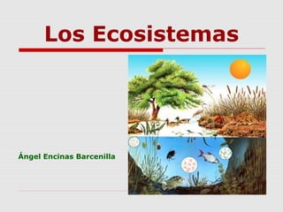Los Ecosistemas

Ángel Encinas Barcenilla

 