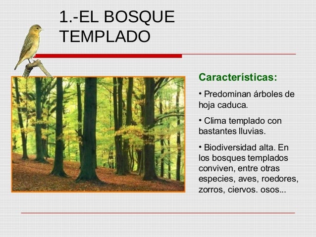 Ecosistemas.ppt