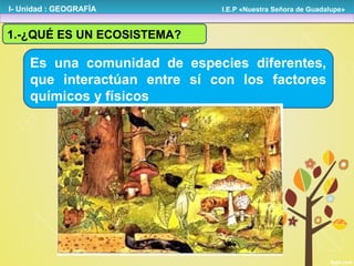 I- Unidad : GEOGRAFÍA

I.E.P «Nuestra Señora de Guadalupe»

1.-¿QUÉ ES UN ECOSISTEMA?

Es una comunidad de especies diferentes,
que interactúan entre sí con los factores
químicos y físicos

 
