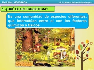 1.-¿QUÉ ES UN ECOSISTEMA?
Es una comunidad de especies diferentes,
que interactúan entre sí con los factores
químicos y físicos
III- Unidad : GEOGRAFÍA I.E.P «Nuestra Señora de Guadalupe»
 
