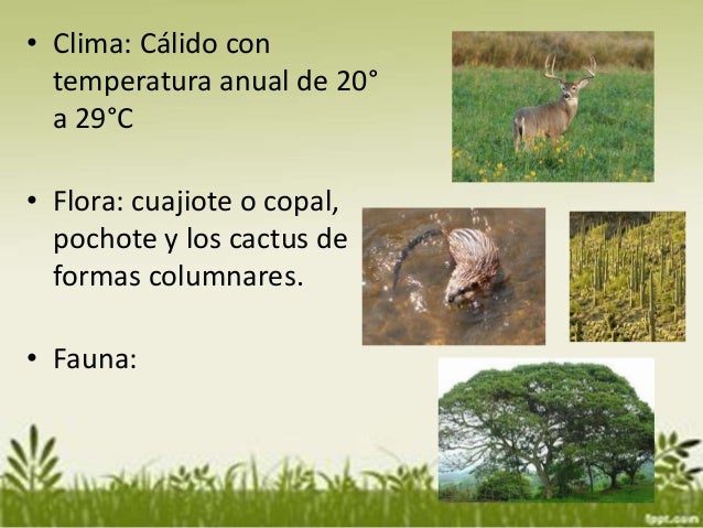 Ecosistemas