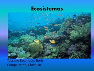 Ecosistemas
Toscano Escandón, Boris
Cumpa Mata, Christian
 