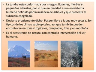 • La tundra está conformada por musgos, líquenes, hierbas y 
pequeños arbustos, por lo que en realidad es un ecosistema 
húmedo definido por la ausencia de árboles y que presenta el 
subsuelo congelado. 
• Desierto propiamente dicho: Poseen flora y fauna muy escasa. Son 
típicos de los climas subtropicales, aunque también pueden 
encontrarse en zonas tropicales, templadas, frías y en montaña. 
• Es el ecosistema no natural con control o intervención del ser 
humano. 
 