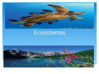 Ecosistemas 
 